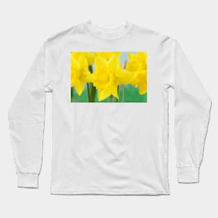 Narcissus  &#39;Standard Value&#39;   Division 1  Trumpet Daffodil Long Sleeve T-Shirt